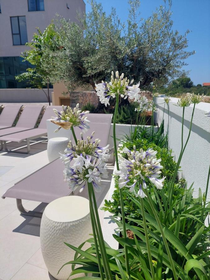 Cala, Rooms&apartments
